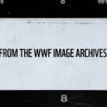 parallax-wwf
