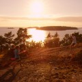 VF_Summernight_s-930x523
